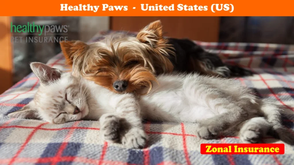 Healthy Paws United States Us