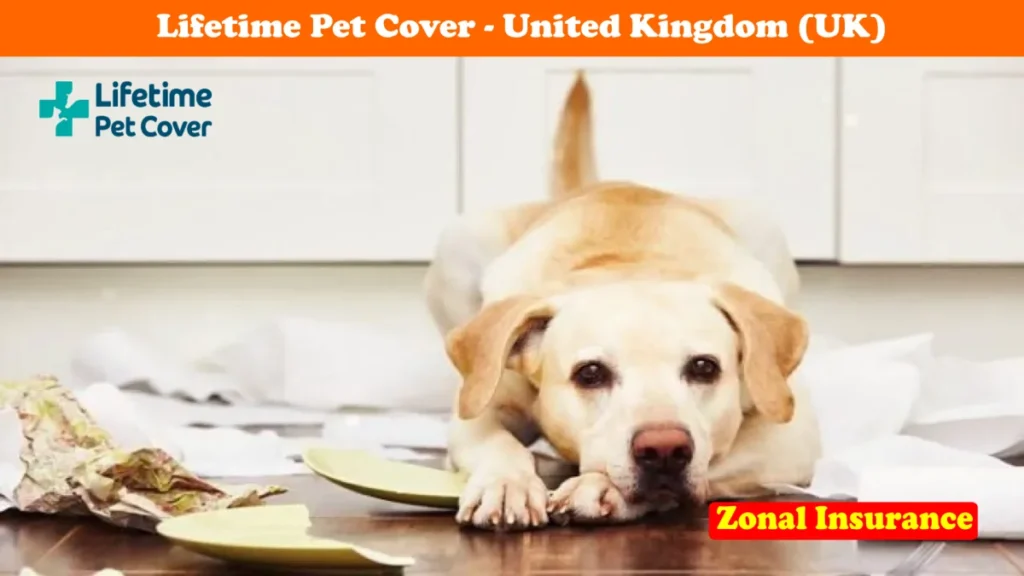 Lifetime Pet Cover United Kingdom Uk