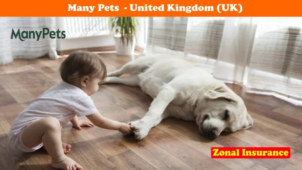 Many Pets United Kingdom Uk