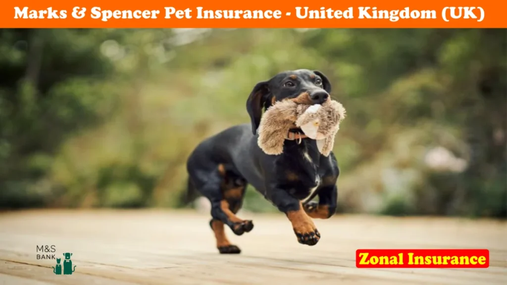 Mark Spencer Pet Insurance United Kingdom Uk