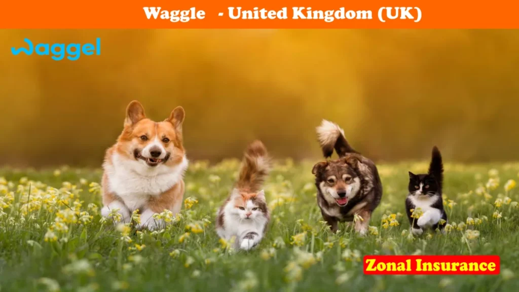 Waggle United Kingdom Uk