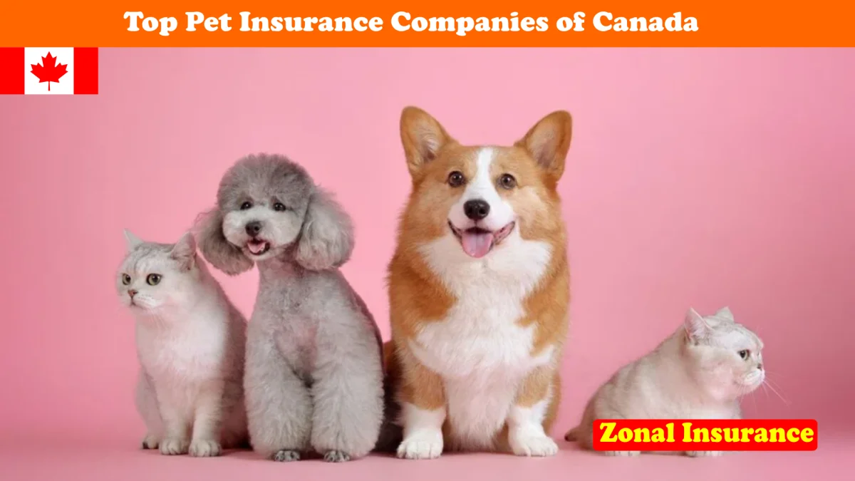 Top Pet Insurance Companies Of Canada
