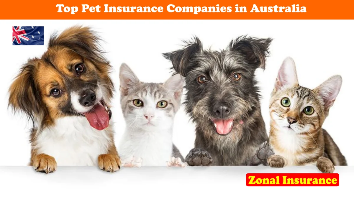Top Pet Insurance Companies In Australia